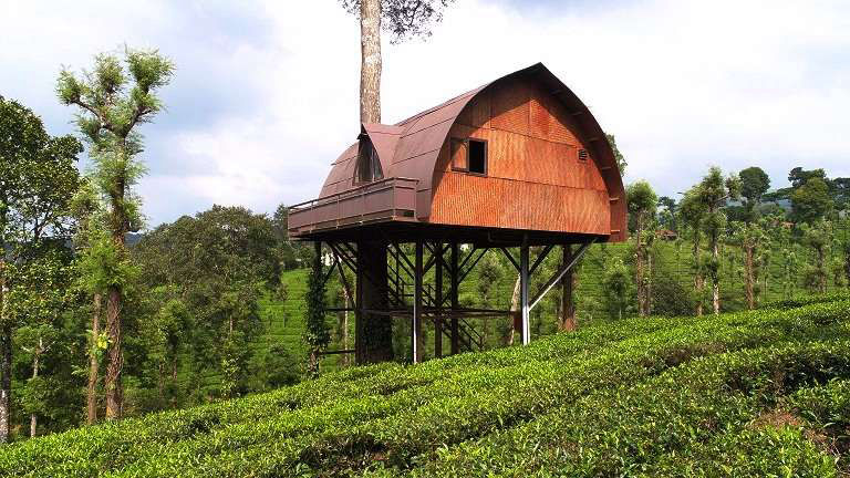 Priyadarshini Tea Environs Wayanad